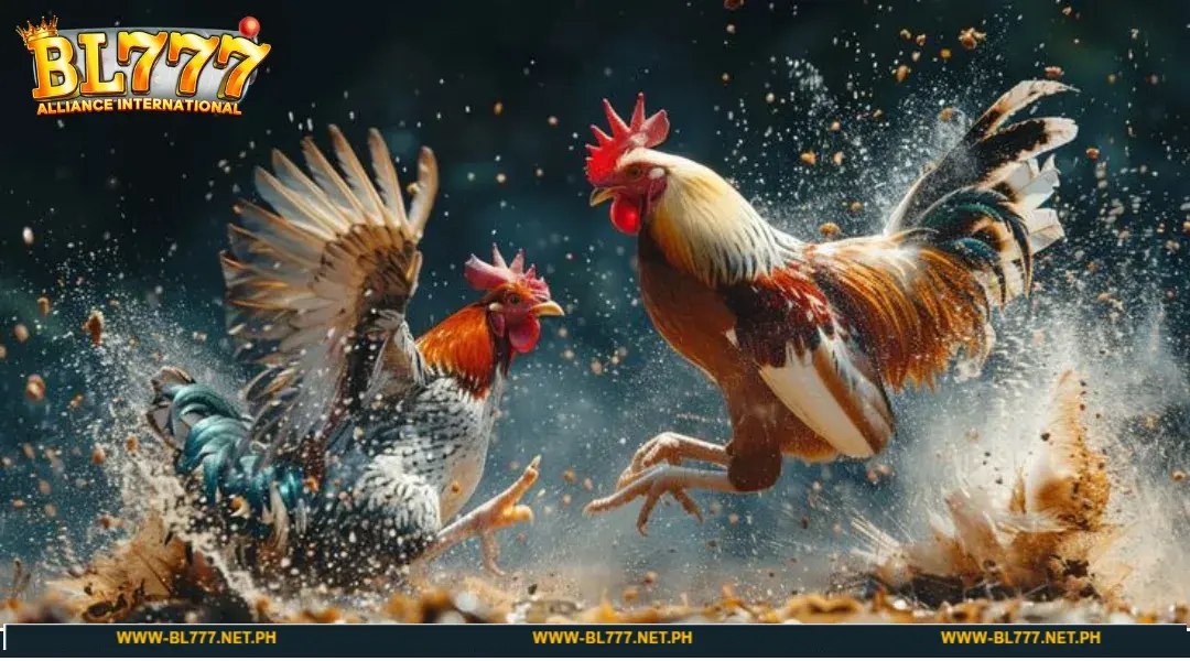 Check out the most popular games at BL777 sabong