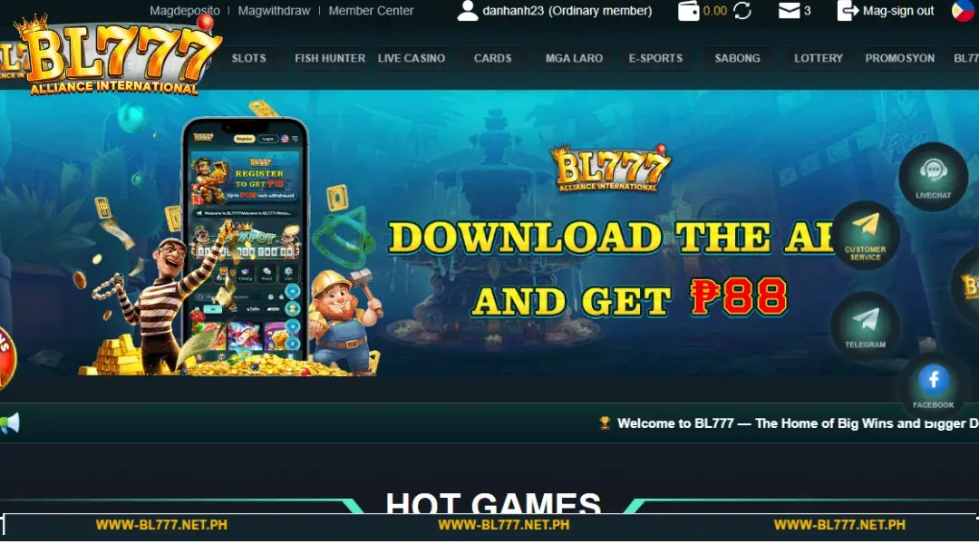 Detailed Application Installation Process